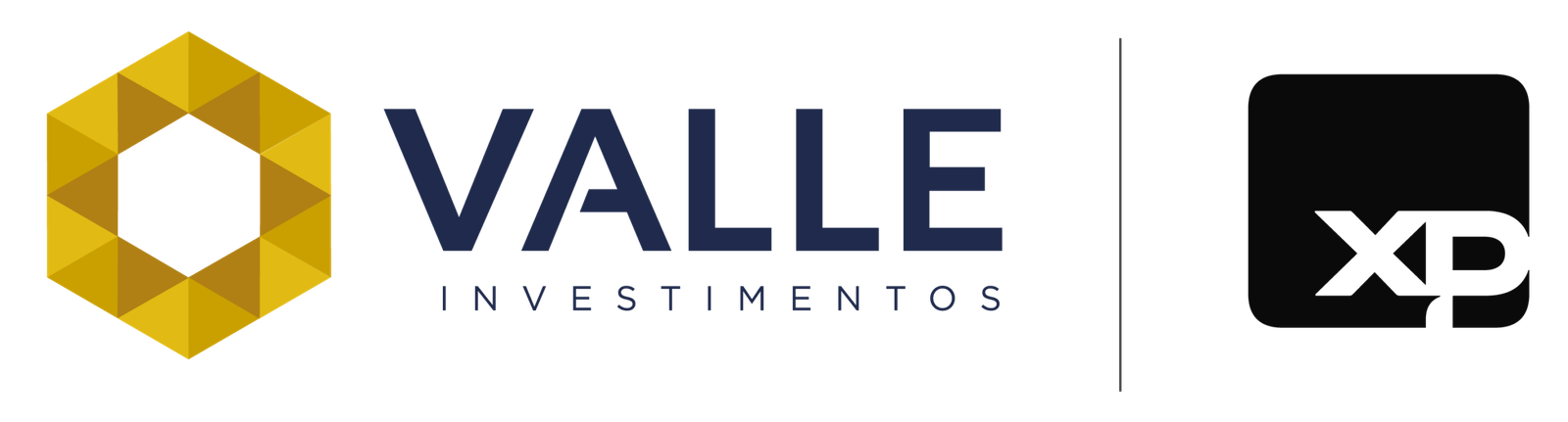VALLE Investimentos